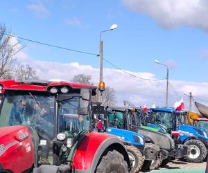 Ukrzyżowanie, bałwany i setki ciągników. Tak wyglądał protest rolniczy [ZDJĘCIA]