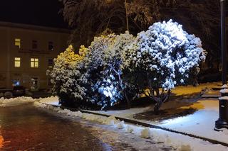 Atak zimy we Wrocławiu. Sypnęło śniegiem! Zobacz zdjęcia [GALERIA]