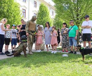 Piknik patriotyczny i koncert „Polskie Tańce Narodowe i Regionalne” na pl. Litewskim w Lublinie
