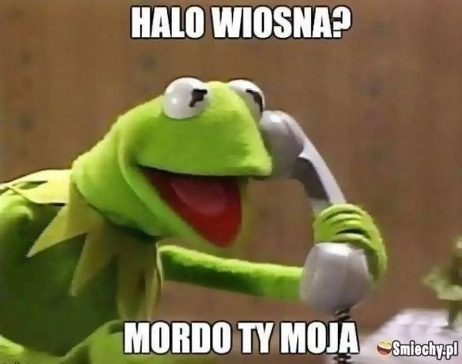 Wiosna 2025: Memy opanowały internet! Zobacz najzabawniejsze memy na powitanie wiosny [21.03.2025]