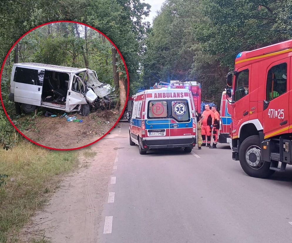 Bus rozbił się na drzewie. Wielu poszkodowanych, śmigłowiec LPR w akcji