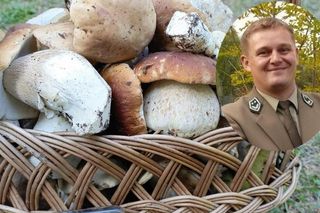 Pustka w świętokrzyskich lasach! Kiedy na grzyby?