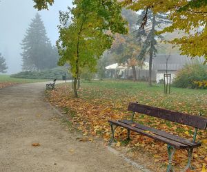 Zamojski Park jesienią