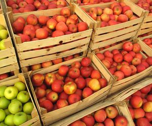 Raport toksycznych owoców i warzyw