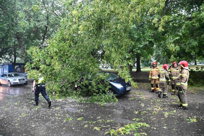 Burze i nawałnice przeszły nad Polską. Strażacy podali miażdżące dane