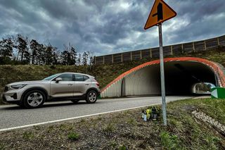 Trójkąt śmierci. Tajemnicze zgony w Miłomłynie