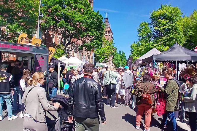 Piknik nad Odrą