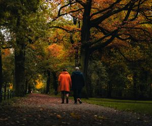 Jaka pogoda na długi weekend w listopadzie? W tych miejscach może spaść deszcz 