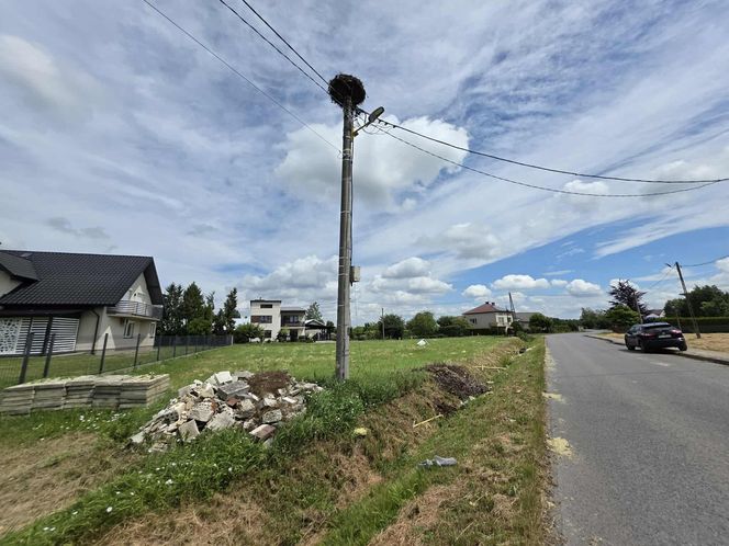Żywioł nie oszczędził nawet bocianów. Nawałnica zabiła całą rodzinę