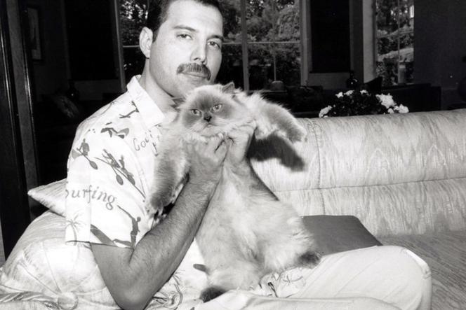 Freddie Mercury