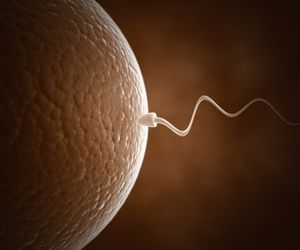 Cud poczęcia, czyli wszystko o zapłodnieniu