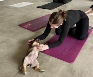 Puppy Yoga