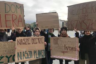 Manifestacja w obronie klimatu