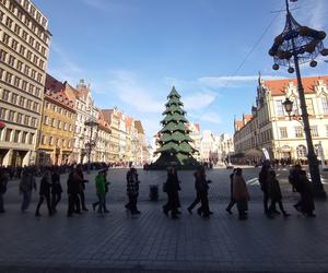 Maturzyści zawładnęli rynkiem we Wrocławiu. Po raz 23. zatańczyli Poloneza dla Fredry