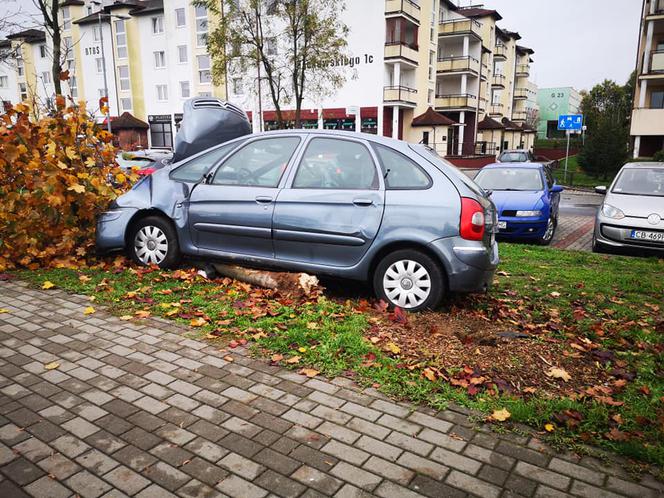 O krok od tragedii w Bydgoszczy! Kierowca zasłabł i uderzył w drzewo! [ZDJĘCIA] 