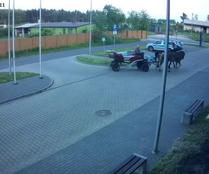 Poddębice. Wóz konny na parkingu komendy. Kierowca nietrzeźwy i z dożywotnim zakazem [ZDJĘCIA]. 