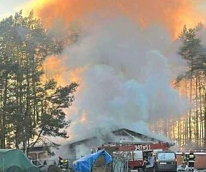 Ogromny sukces zbiórki po pożarze schroniska dla zwierząt BUBA! To niestety kolejna taka tragedia na Pomorzu