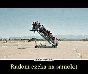 Najlepsze memy o Radomiu! Zobacz z czego śmieją się internauci