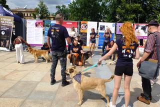 Szukały kochających ludzi na Placu Litewskim
