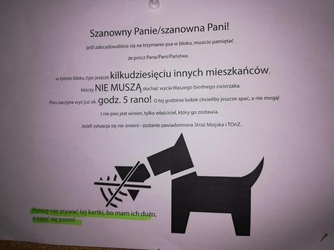 Ogłoszenia na klatkach schodowych