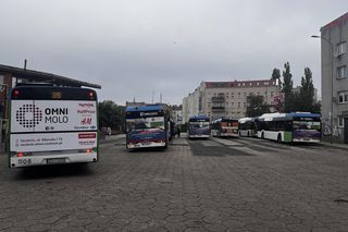 Mieszkańcy chcą większej liczby kursów 62. Tak to skomentował urząd