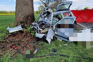 Wypadek na DK 46 na Opolszczyźnie. Osobówka rostrzaskała się na drzewie, nie żyje młoda kobieta 