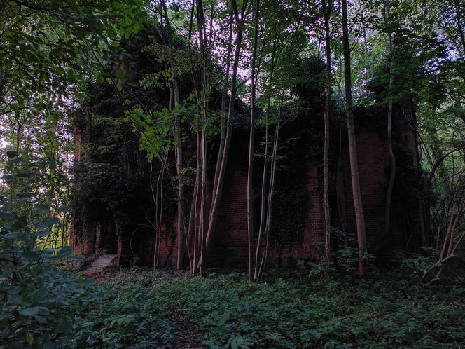 Głębowice - ruiny pałacu, opuszczony dom, a także tajemnicze i monumentalne mauzoleum