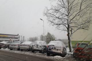 Zdjęcia z wtorku (18 kwietnia) z Piotrkowa Trybunalskiego