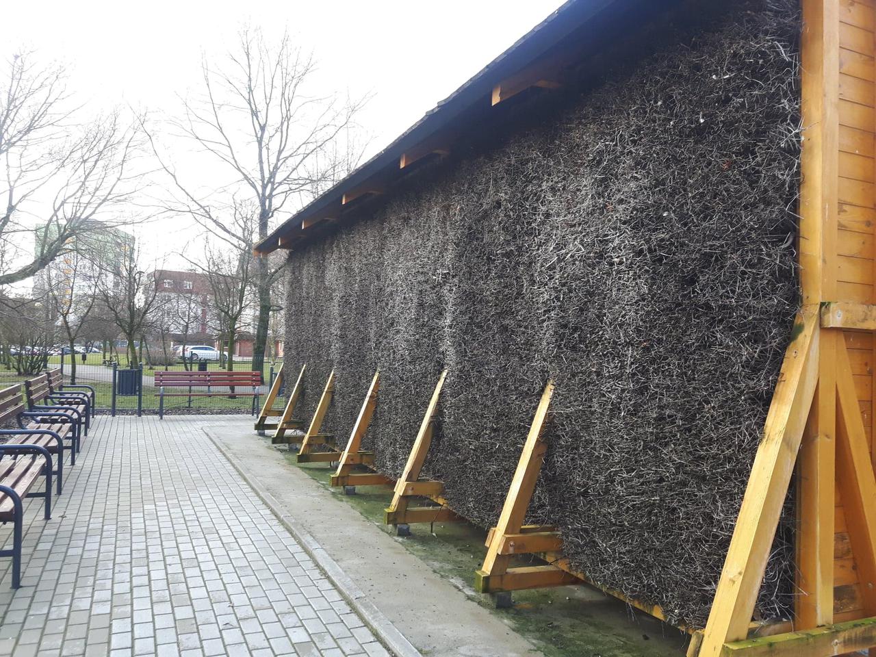 Jest tu już tężnia solankowa, a w pobliżu powstanie wodny plac zabaw. Łodzianie zdecydowali, że w ramach budżetu obywatelskiego w Parku Widzewska Górka pojawią się nowe atrakcje 