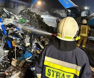 Znów paliło sie w Przysiece Polskiej niedaleko Kościana. Drugi raz w tym miesiącu