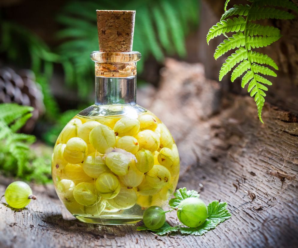 Domowa nalewka agrestowa - przepis mamy Eli