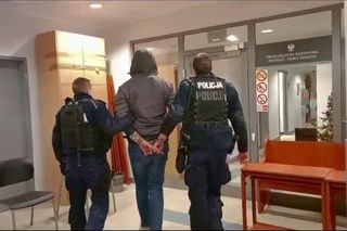 Aresztowani, którzy porwali i pobili strusia Zenka