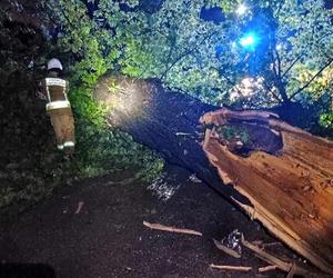 Burzowa noc w Śląskiem. Blisko 10 tys. osób bez prądu. Piorun popalił dom