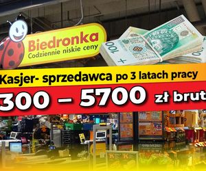Zarobki w Biedronce
