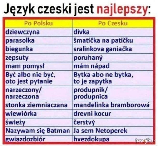 Czeskie memy są najlepsze! Będziecie płakać ze śmiechu