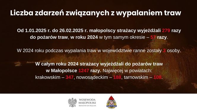 Wojewoda Małopolski ostrzega przed wypalaniem traw