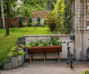 Finał 40. edycji konkursu „Warszawa w kwiatach”. I miejsce w kategorii Ogród lub ogródek edukacyjny: Poradnia Specjalistyczna Młodzieżowy Ośrodek Profilaktyki i Psychoterapii MOP, Mokotów