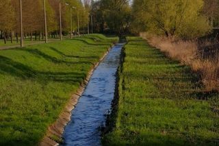 Nowa atrakcja turystyczna w Łódzkiem. Bulwary nad Dobrzynką mają rozkwitnąć na nowo