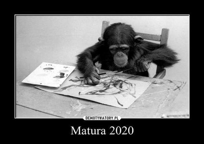 Matura 2020: MEMY o Podlasiu. Maturzyści śmieją się z przecieków