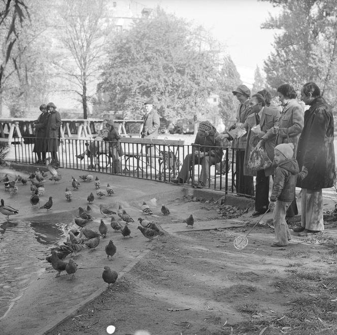 Wolna sobota w parku z gołębiami - zdjęcie lata 70. XX w. 