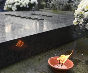 Gwiazdy kwestują na Powązkach