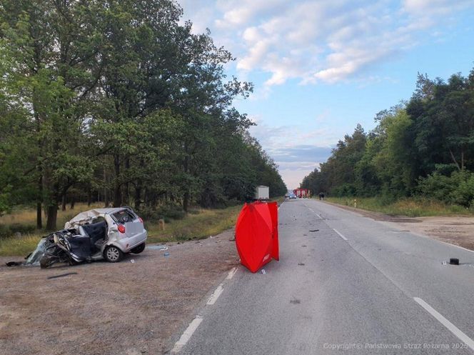 Śmiertelny wypadek na DK 12 pod Piotrkowem Tryb. Kierujący chevroletem wjechał pod tira [ZDJĘCIA]