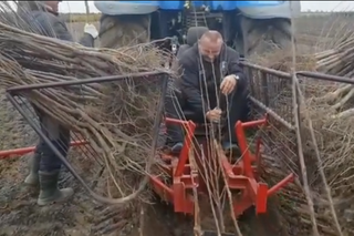 Mariusz Pudzianowski pracuje na polu