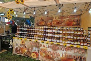 Dary Ziemi w Gdyni 2025