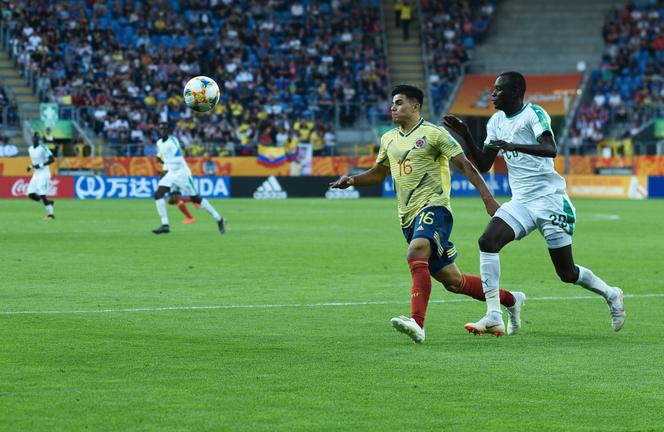 Senegal pokonał Kolumbię. Dziś Honduras zmierzy się z Urugwajem
