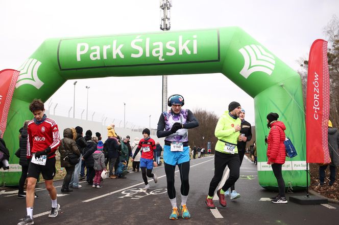 Bieg z Sercem WOŚP w Parku Śląskim. Po raz dziesiąty pobiegli w szczytnym celu