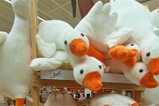 Gęś Pipa trafiła do hipermarketu. Jej cena zaskakuje!