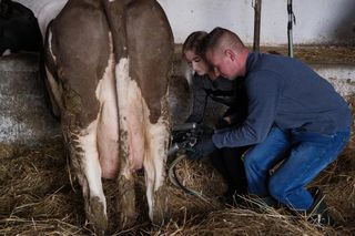 Afera po odcinku Rolnik szuka żony „Trzeba po animalsa dzwonić” 