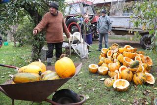 Rolnicy. Podlasie. Gienek z Plutycz i jego emerytura