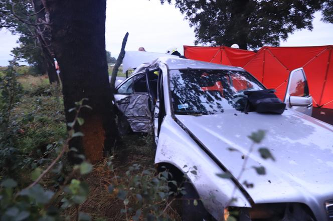 Wielkopolskie. Mercedes uderzył w drzewo! 26-letni pasażer nie żyje! 